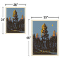 Sequoia National Park California Trees Decal