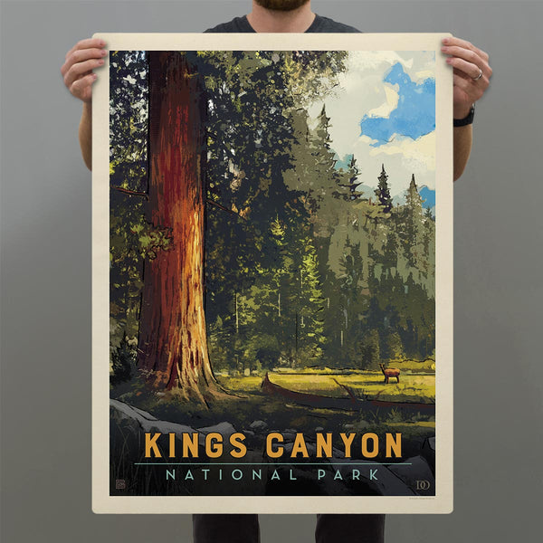 Kings Canyon National Park California Trees Decal