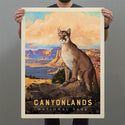 Canyonlands National Park Utah Bobcat Decal