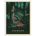 Redwood National Park California Path Decal