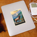 Rocky Mountain National Park Colorado Elk Vinyl Sticker