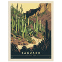 Saguaro National Park Arizona Cacti Vinyl Sticker