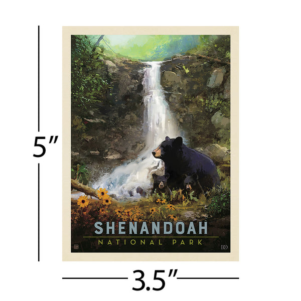 Shenandoah National Park Virginia Black Bears Vinyl Sticker
