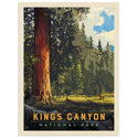 Kings Canyon National Park California Trees Vinyl Sticker