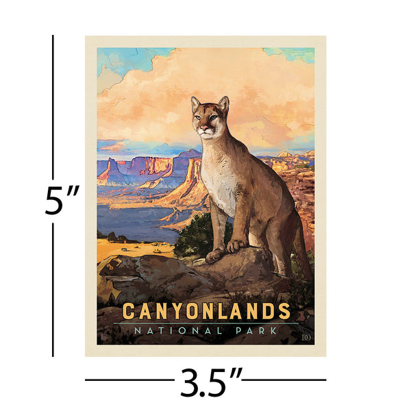 Canyonlands National Park Utah Bobcat Vinyl Sticker