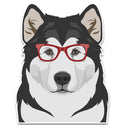 Alaskan Malamute Dog Wearing Hipster Glasses Large Vinyl Car Window Sticker