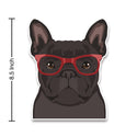 French Bulldog Black Dog Wearing Hipster Glasses Large Vinyl Car Window Sticker