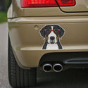 Greater Swiss Mountain Dog Wearing Hipster Glasses Large Vinyl Car Window Sticker
