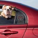 Labrador Retriever Black Dog Wearing Hipster Glasses Large Vinyl Car Window Sticker