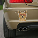 Long Haired Chihuahua Dog Wearing Hipster Glasses Large Vinyl Car Window Sticker
