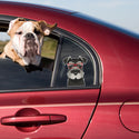 Miniature Schnauzer Dog Wearing Hipster Glasses Large Vinyl Car Window Sticker