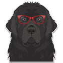 Newfoundland Dog Wearing Hipster Glasses Large Vinyl Car Window Sticker