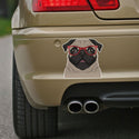 Pug Dog Wearing Hipster Glasses Large Vinyl Car Window Sticker