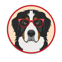 Bernese Mountain Dog Dog Wearing Hipster Glasses Mini Vinyl Sticker