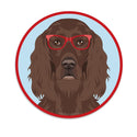 Irish Setter Dog Wearing Hipster Glasses Mini Vinyl Sticker