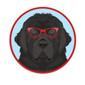 Newfoundland Dog Wearing Hipster Glasses Mini Vinyl Sticker
