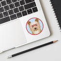 Yorkshire Terrier Dog Wearing Hipster Glasses Mini Vinyl Sticker