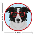 Border Collie Dog Wearing Hipster Glasses Die Cut Vinyl Sticker