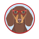Dachshund Chocolate Tan Dog Wearing Hipster Glasses Die Cut Vinyl Sticker