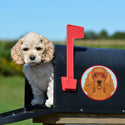 English Cocker Spaniel Dog Wearing Hipster Glasses Die Cut Vinyl Sticker