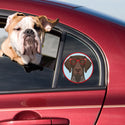 German Shorthaired Pointer Dog Wearing Hipster Glasses Die Cut Vinyl Sticker