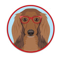 Long Haired Dachshund Dog Wearing Hipster Glasses Die Cut Vinyl Sticker