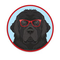 Newfoundland Dog Wearing Hipster Glasses Die Cut Vinyl Sticker