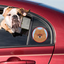 Pomeranian Dog Wearing Hipster Glasses Die Cut Vinyl Sticker