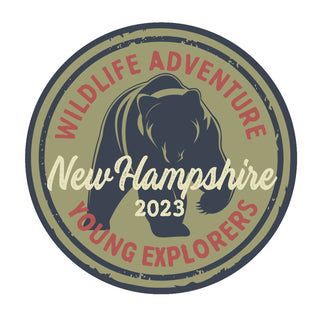 Kids Camp Young Explorers Bear States Die Cut Vinyl Sticker