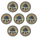 Kids Camp Young Explorers Bear States Mini Vinyl Sticker