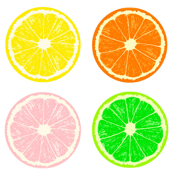 Fruit Slices Set of 4 Kitchen Wall Decals