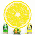 Lemon Fruit Slice Citrus Kitchen Wall Decal