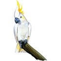 Cockatoo Parrot Tropical Bird Wall Decal