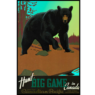 Canada Grizzly Bear Big Game Wall Decal