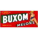 Buxom Melons Pinup Fruit Label Wall Decal