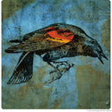 Redwing Blackbird Rustic Wall Decal