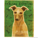 Italian Greyhound Fawn Dog Wall Decal