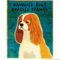 Cavalier King Charles Blenheim Dog Wall Decal