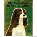 Cavalier King Charles Tri-Color Dog Wall Decal