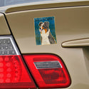 Australian Shepherd Blue Merle Dog Vinyl Sticker