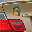 Vizsla Pointer Retriever Dog Vinyl Sticker