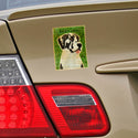 Harlequin Great Dane Uncropped Ears Dog Vinyl Sticker