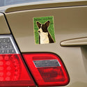 Cardigan Welsh Corgi Dog Vinyl Sticker