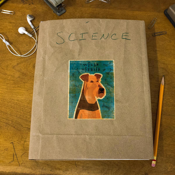 Welsh Terrier Dog Vinyl Sticker
