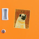 Pug Tan Little Dog Vinyl Sticker