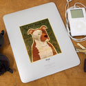 Pit Bull Beige Dog Vinyl Sticker