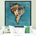 Horned Whelk Tropical Shell Wall Decal