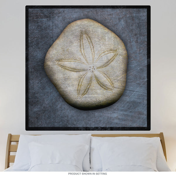Sea Biscuit Sand Dollar Wall Decal
