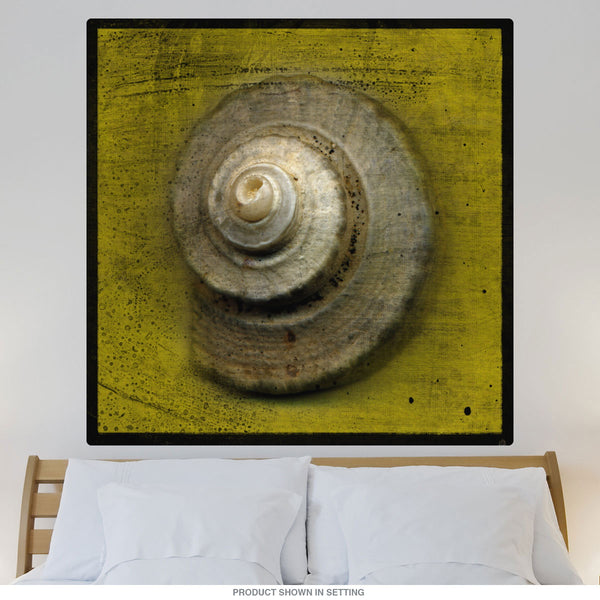 Whelk Crown Snail Shell Wall Decal