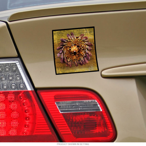 Spongy Sea Urchin Tropical Vinyl Sticker